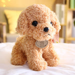 Small Teddy Poodle Plush Toy