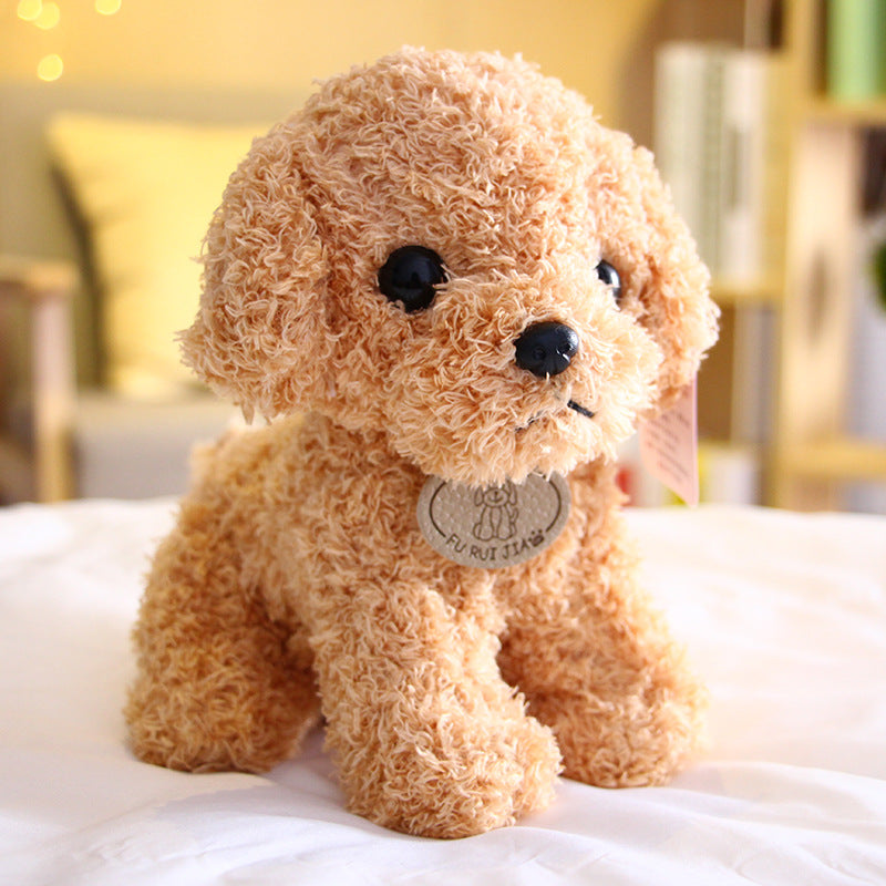 Piccolo barboncino Teddy di peluche
