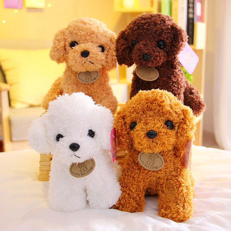 Small Teddy Poodle Plush Toy