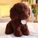 Small Teddy Poodle Plush Toy