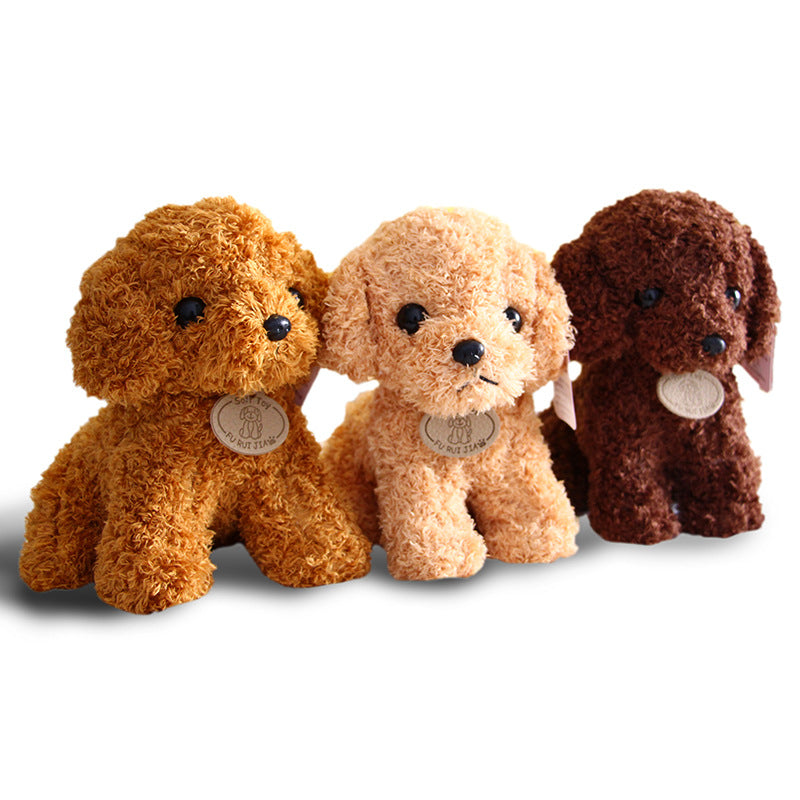 Small Teddy Poodle Plush Toy
