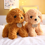 Small Teddy Poodle Plush Toy