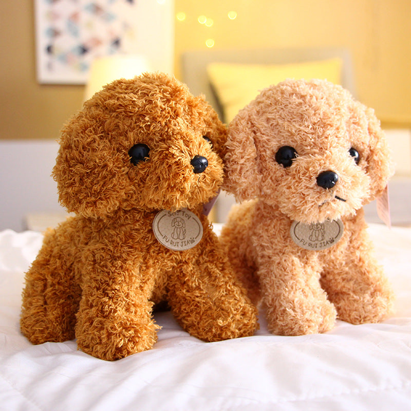 Small Teddy Poodle Plush Toy