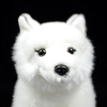 Fluffy Arctic Fox Plush Toy