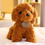 Small Teddy Poodle Plush Toy