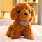 Caniche Teddy de peluche pequeño
