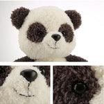 Jolie peluche panda 22 cm