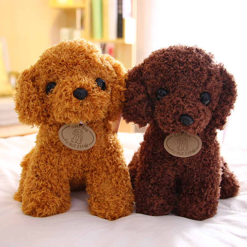 Small Teddy Poodle Plush Toy